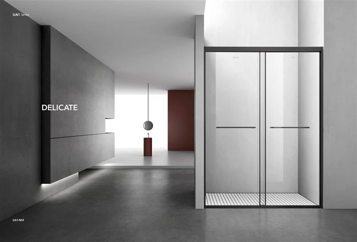 Two Stainless Steel Sliding Shower Doors With One Shower Room